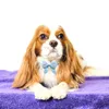 Hundkläder 50/100 PC Style Dog Bows Blanda färger Pet Grooming Accessories Fashional Cat Dog Bow Ties Justerbar hund Bowtie 230812
