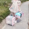 Cat Carriers Pet Trolley Cats Transporter Small S Carry Animals Sac Transport Chat Dogs Accessories