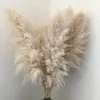 Dekoratif Çiçek Çelenkleri 80-140cm Pampas Çim Büyük Uzun boylu XXL kabarık Pampas Kurutulmuş Çiçekler Boho Dekor Bitki Vazo Ev Düğün Dekoru Çiçek Düzenlemesi 230812