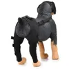 Appareils pour chiens Taxez les genoux de support avec une attelle pour la jambe joint enveloppe de blessure respirante Couverture des jambes Dog Protector Support Protect Bandage Supplies 230812
