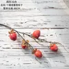 Decorative Flowers Simulated Artificial Snow And Persimmon Green Plant Decorations INSMW86001