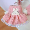 Robe de vêtements pour chiens élégant sweet ladylike animaux de compagnie décoration jupe pour animaux de compagnie pour en peluche