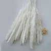 Fleurs décoratives 50pcs Blanc Pampas moelleux Kirin Grass Naturel Fleur séchée pour la décoration de fête de mariage Table et pièce de décoration intérieure