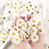 Decorative Flowers 100pcs Artificial Daisy Heads Silk Fake Flower For Home Garden Wedding Party Decorations DIY Floral Handmade Supplies