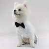 Свадебная одежда для собак.