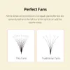 False Eyelashes Lashprofessor Wholesale 5 TraysLot Pointy Base Premade Volume Fans Thin Roots Sharp Stem Russian Individual Lash Cila 230812