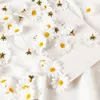 Flores decorativas 100pcs Margarida artificial Cabeças de seda flor falsa para decoração de festas de casamento para jardim em casa