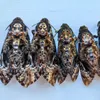 Oggetti decorativi Figurine Acherontia lachesi Real Moth Insect Isect Farma decorazione da collezione Regalo per la casa Scultura gotica 230812