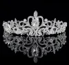 Birdal Crowns New Headbands Bands Headpieces Bridal Wedding Jewelries Accessories Silver Crystals Rhinestone Pearlszz