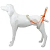 Dog Collars Disabled Hip Brace Sling Dogs Small Service Harness Support Back Legs Walking Auxiliary Strap