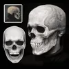 Feestmaskers vol hoofd schedel masker skelet hoofddeksel carnaval volwassen realistc anoniem Halloween anime horrorhelm beweegbare mond kaak 230814