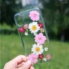 Decorative Flowers 12pcs Dried For Candle Art Decorations Natural Flower Preserved Dry DIY Stickers Phone Case Decor Accessories