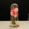 Jarrones Copilón de vaso Base de madera Contenedor de mesa Pantallas de vidrio Adorados de flores secas Campana de polvo de polvo Terrario Terrario Vase 230812