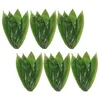 平らな製品セット50 PCS寿司装飾的な葉板の飾り竹の皿の葉を提供する