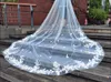 Bridal Veils Real Po One Layer Wedding Veil met kam White Lace Edge Ivory Appliqued Cathedral MM