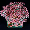 Blocks 2138pcs Sakura House Tree Building Blocks Cheer Flower City Street View Series Assemble Decoration Gift For Girl R230814