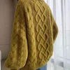 Maglioni da donna maglione pullover femmina solida 2023 set pigro rotondo intorpidimento sottile ins ricerca o maglia collo