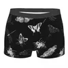 Sous-pants humour boxer entomologiste cauchemares shortflies shorts bordeaux hommes sous-vêtements animaux moyens de taille pour mâle s-xxl