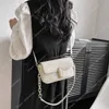 Borse designer woman borsette da donna in stile piccolo per spalla a borsa quadrata 2024 estate fresca texture popolare ascella