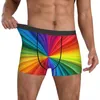 Underbyxor färgade virvlar underkläder Rainbow Print Male Printing Breattable Trunk Boxer Kort plus storlek