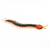 ElectricRC Animals Remote Control Centipede Toy Rechargable Electric Infrared RC Scolopendra Simulation Fake CreepyCrawly Chilopod for Kids 230812