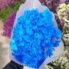 Dekorative Blumen wirklich natürlicher frisch erhaltener getrocknetes Holz Hortensie Blume Weihnachtsschmuck und bietet Geburtstagsdekoratio an