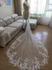 Bridal Veils Long Lace Wedding Veil 3.5 Meters 3m Wide Nature White Cathedral With Comb Accessories Bride Headpieces