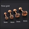 Stud 1 PCs/Bolsa Tamanho 3/4/5/6mm 4 cores Medical Titanium agulha True Zircon Ear Studs Brincos de meninos e meninas para Partido DIY 1208 Q2 DRO DHHXP