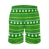 Men's Shorts St Patricks Day Gym Summer Fair Isle Shamrock Sportswear Beach Short Pants Quick Dry Casual Design Plus Size Trunks