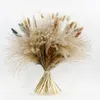 Decorative Flowers 45cm Pampas Grass Ornaments For Home Decorations Articles Of Bar And Homemade Brewing Natural Preserved Wedding Supplies