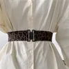 Ремни моды Женские ремни летняя сплава пряжка широкая эластичная леопардовая пояс для платье эластичный сплошной повседнев