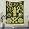 Tapestries Marine Animal Tapestry Nature Art Wall Hanging Plant Illustration Home Aesthetics Room Decor R230812