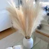 Dekorativa blommor flerfärgade pampas gräs konstgjorda 55 cm faux vass falsk blomma för bröllopsfest dekoration bakgrund båge heminredning