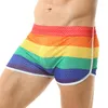 Underpants Boxer Shorts Buttons U Convex Cash Mesh In biancheria intima traspirante a strisce sexy Slip Trunks Mutandine