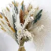 Decorative Flowers 45cm Pampas Grass Ornaments For Home Decorations Articles Of Bar And Homemade Brewing Natural Preserved Wedding Supplies