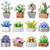 Bloqueia a nova cidade suculenta suculenta Flores de Flores Plantas Modelo Bloco Bloco de Flor Building Building Diy Modelo Bloco Bloco Presente Toy R230814