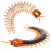 ElectricRC Animals Remote Control Centipede Toy Rechargable Electric Infrared RC Scolopendra Simulation Fake CreepyCrawly Chilopod for Kids 230812