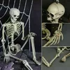 Andra evenemangsfestartiklar Poserbara full livsstorlek Human Skeleton Halloween Decoration Party Prop Halloween Skeleton Holiday Diy Decorations 230814