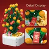 Blocca bambini Felice nuovo Creative Orange Tree Building 222pcs Piante Bouquet Set Festival Decoration R230814