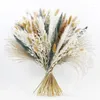 Decorative Flowers 45cm Pampas Grass Ornaments For Home Decorations Articles Of Bar And Homemade Brewing Natural Preserved Wedding Supplies