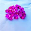 Lampadario cristallo di alta qualità 20pcs/lotto 14mm fucsia k9 perle di ottagono in due buchi belli di vetro pari di gioielli fai -da -te accessori