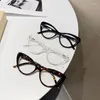 Güneş gözlükleri çerçeveler moda seksi kedi göz optik mavisi anti-gözlükler kadınlar vintage leopar çerçeve gözlükler kadın bilgisayar oculos gözlük