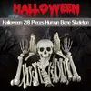 Altre forniture per feste di eventi 28 PC Scheletro osso con teschio statue realistica artificiale per Halloween Spooky Graveyard Ground Bar Decoration 230815