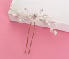 Groothandel bruiloft Bridal U pins Lot kopstuk Pearl accessoires Clip goud kristal strass stukken stukken Princess Queen Crown Tiara Jewelryzz