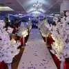 5feet Height white Artificial Cherry Blossom Tree Roman Column Road Leads For Wedding Mall Opened PropsZZ