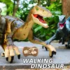 Electricrc Animals 24G RC Dinosaur Ra​​ptor Jurassic Remotic Control Velociraptor Toy Electric Walking Dino Dragon Toys for Childrens Christmas Gifts 230814