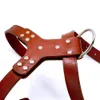 Одежда для собак подлинный кожаный жгут настоящие собаки тренировочные жилеты с милым бахнотом регулируемым долговечным для среднего большого питбуля 230814