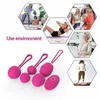 Sex Toy masseur sûr Silicone vagin balles vibrateurs pour les femmes Sexy Kegel Ben Wa serrer l'exercice Womams