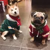 Ubrania psa Suprepet Pet Dog ubrania pies grandy bluza z kapturem francuskiego słodkie francuskie buldog ubrania psie bluza szczeniak ubrania na mały pies 230815