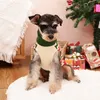 Hondenkleding Warm herfst Winter Pet Dog's Sweater Poedel Sweaters Jumper Schnauzer Turtleneck voor kleine middelgrote honden met riem gatbrei 230814
